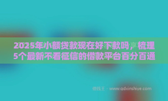 2025年小额贷款现在好下款吗，梳理5个最新不看征信的借款平台百分百通过