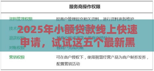 2025年小额贷款线上快速申请，试试这五个最新黑户100%能下款的平台