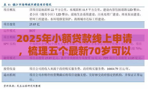 2025年小额贷款线上申请，梳理五个最新70岁可以贷款的平台