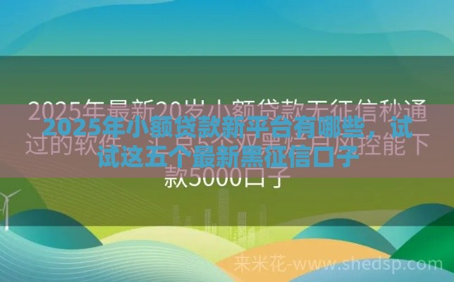 2025年小额贷款新平台有哪些,试试这五个最新黑征信口子 2025年小额贷款新平台有哪些,试试这五个最新黑征信口子