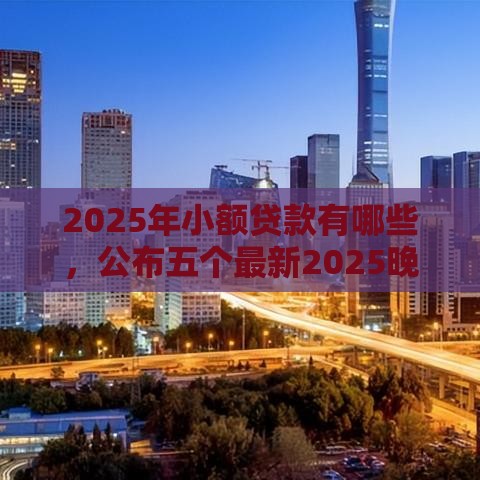 2025年小额贷款有哪些，公布五个最新2025晚上不审核直接放款口子