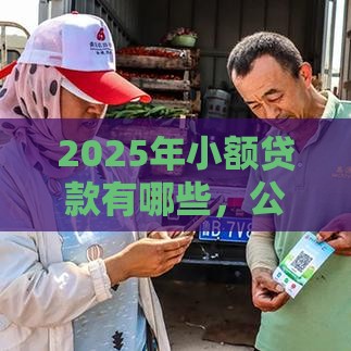 2025年小额贷款有哪些，公布五个最新2025晚上不审核直接放款口子