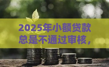 2025年小额贷款总是不通过审核，整理五个最新高炮口子2025最新下款