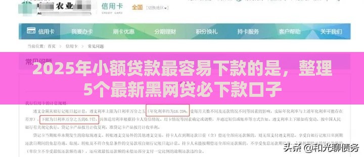 2025年小额贷款最容易下款的是，整理5个最新黑网贷必下款口子