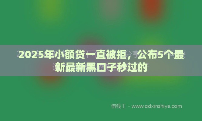 2025年小额贷一直被拒，公布5个最新最新黑口子秒过的