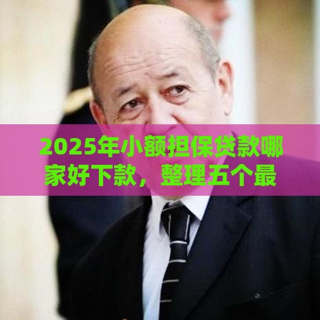 2025年小额担保贷款哪家好下款，整理五个最新2025年12月网贷平台