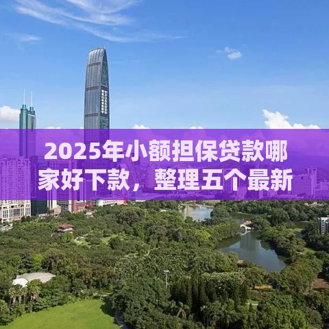 2025年小额担保贷款哪家好下款，整理五个最新2025年12月网贷平台