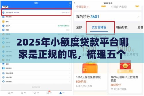 2025年小额度贷款平台哪家是正规的呢，梳理五个最新快速下款不看资质的贷款平台平台