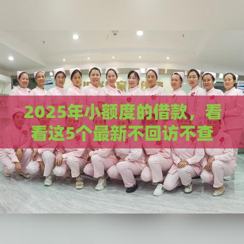 2025年小额度的借款，看看这5个最新不回访不查征信好下款的口子