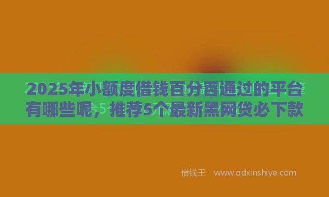 2025年小额度借钱百分百通过的平台有哪些呢，推荐5个最新黑网贷必下款口子