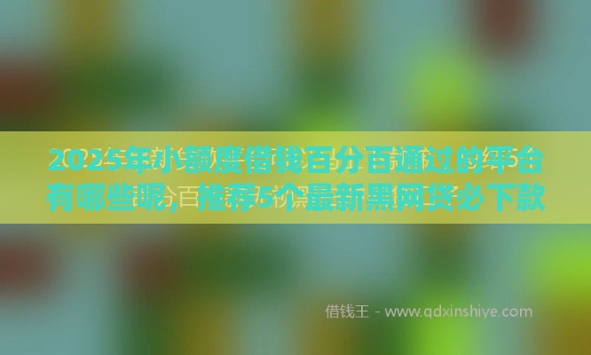 2025年小额度借钱百分百通过的平台有哪些呢，推荐5个最新黑网贷必下款口子