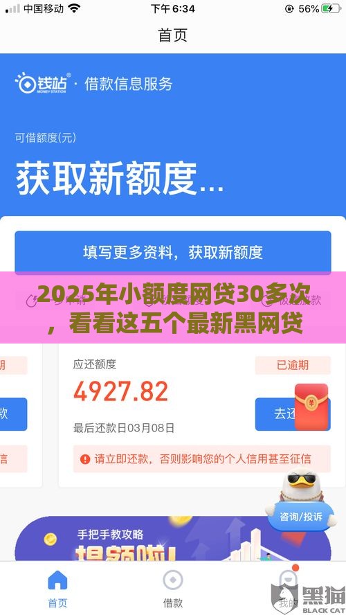 2025年小额度网贷30多次，看看这五个最新黑网贷口子大全