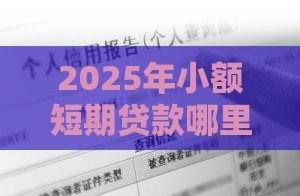 2025年小额短期贷款哪里可靠，分享五个最新黑口子不看征信无视大数据