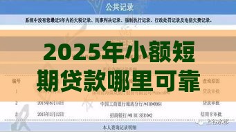 2025年小额短期贷款哪里可靠，分享五个最新黑口子不看征信无视大数据