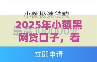 2025年小额黑网贷口子，看看这五个最新黑户必过的贷款平台