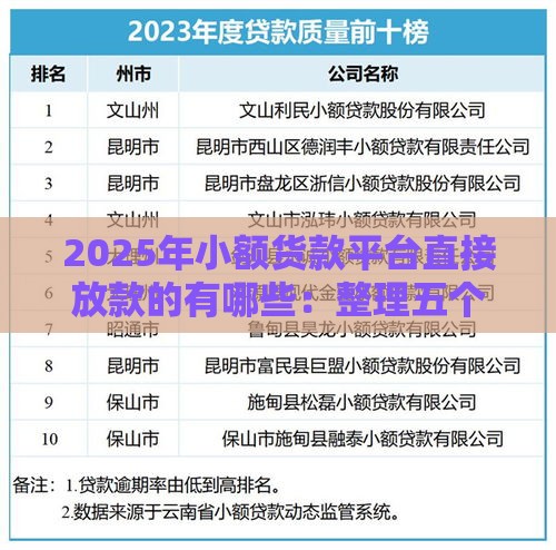 2025年小额货款平台直接放款的有哪些：整理五个2025热门线上车辆抵押贷款平台