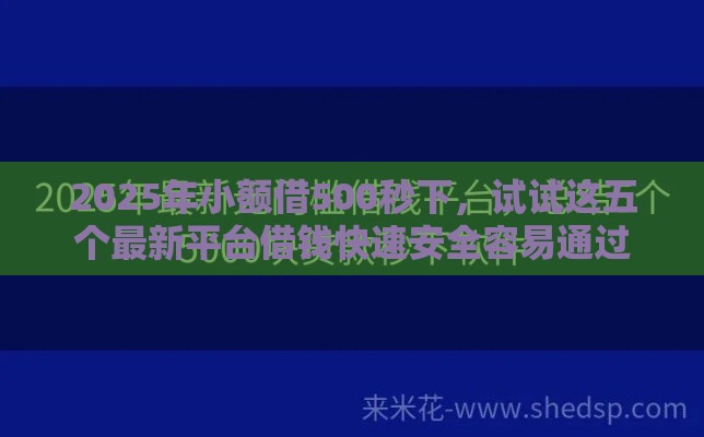 2025年小额借500秒下，试试这五个最新平台借钱快速安全容易通过