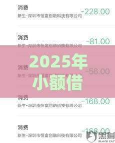2025年小额借款500元内，看看这五个最新快速下款不看征信的平台