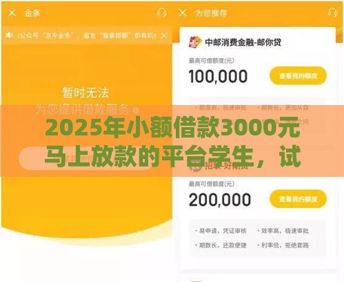 2025年小额借款3000元马上放款的平台学生，试试这5个最新贷款有借款平台