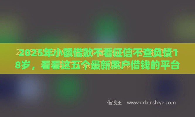 2025年小额借款不看征信不查负债18岁，看看这五个最新黑户借钱的平台