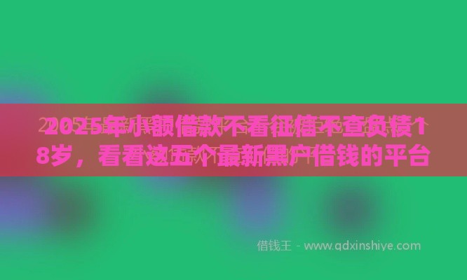 2025年小额借款不看征信不查负债18岁，看看这五个最新黑户借钱的平台
