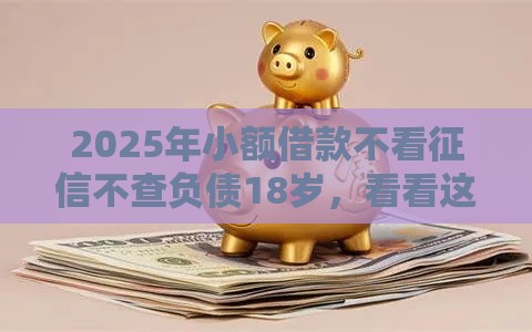 2025年小额借款不看征信不查负债18岁，看看这五个最新黑户借钱的平台