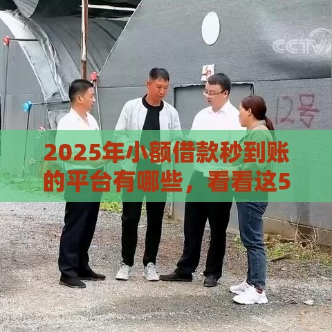 2025年小额借款秒到账的平台有哪些，看看这5个最新平台借钱正规利息最低
