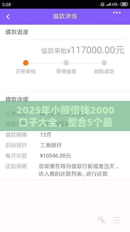 2025年小额借钱2000口子大全，整合5个最新老赖可以下款的口子