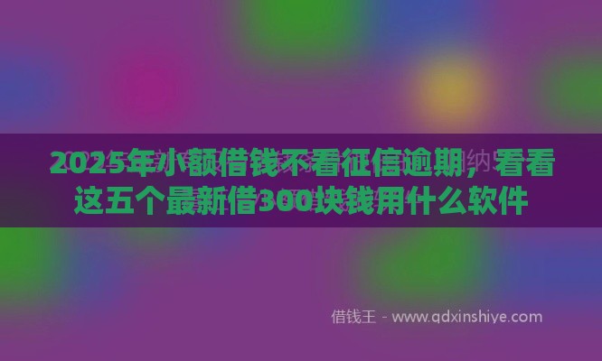 2025年小额借钱不看征信逾期，看看这五个最新借300块钱用什么软件