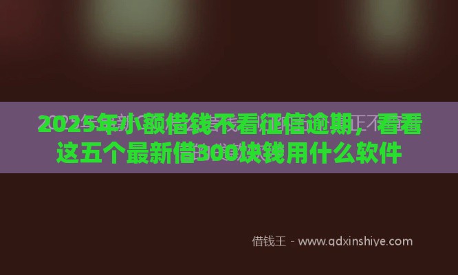 2025年小额借钱不看征信逾期，看看这五个最新借300块钱用什么软件