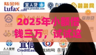 2025年小额借钱三万，试试这五个最新黑户也能借款的网贷平台
