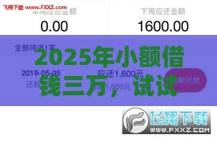 2025年小额借钱三万，试试这五个最新黑户也能借款的网贷平台