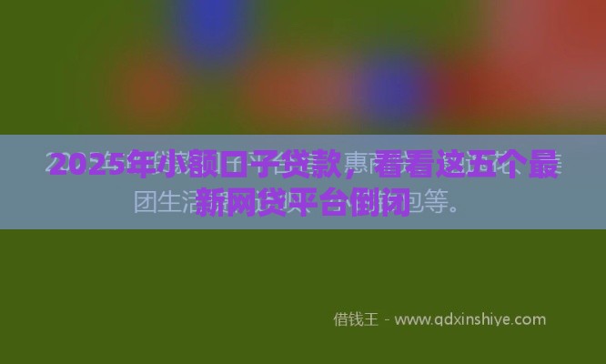 2025年小额口子贷款，看看这五个最新网贷平台倒闭