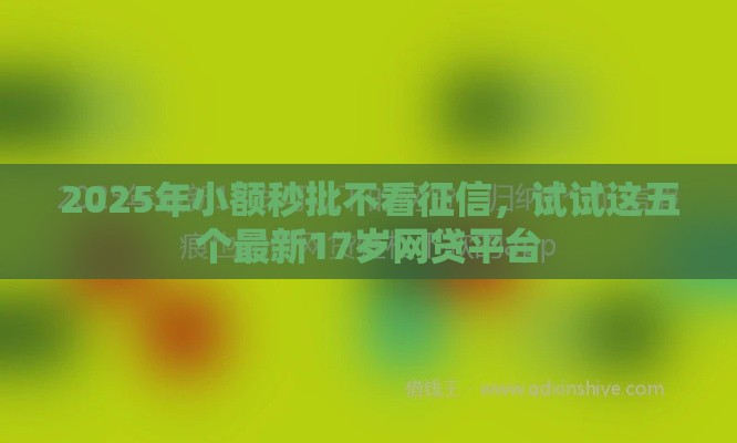 2025年小额秒批不看征信，试试这五个最新17岁网贷平台
