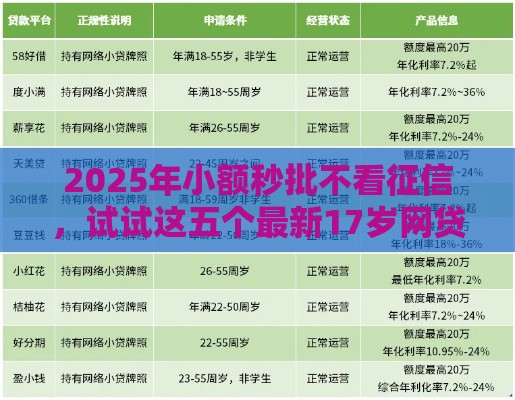 2025年小额秒批不看征信，试试这五个最新17岁网贷平台