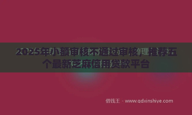 2025年小额审核不通过审核，推荐五个最新芝麻信用贷款平台