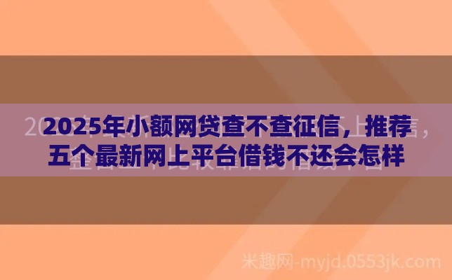 2025年小额网贷查不查征信，推荐五个最新网上平台借钱不还会怎样