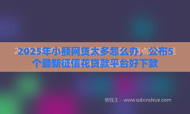 2025年小额网贷太多怎么办，公布5个最新征信花贷款平台好下款