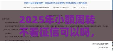 2025年小额周转不看征信可以吗，公布五个最新申请频繁被风控能下的口子