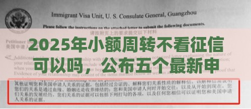 2025年小额周转不看征信可以吗，公布五个最新申请频繁被风控能下的口子