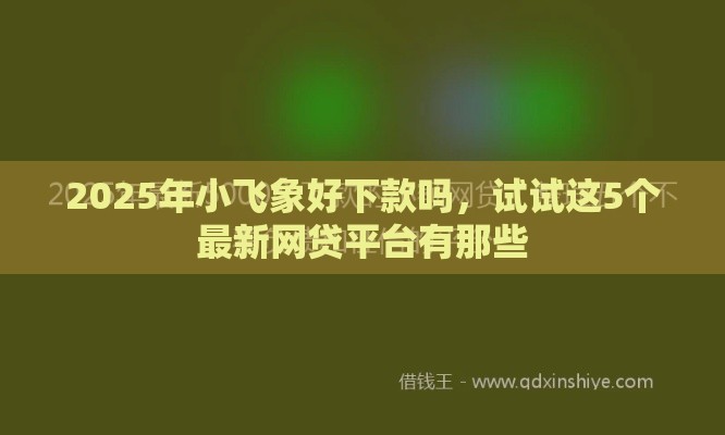 2025年小飞象好下款吗，试试这5个最新网贷平台有那些