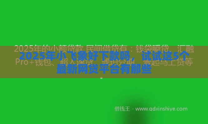 2025年小飞象好下款吗，试试这5个最新网贷平台有那些