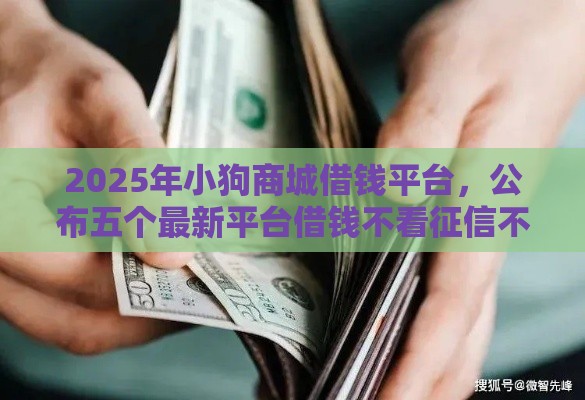 2025年小狗商城借钱平台，公布五个最新平台借钱不看征信不看逾期,不看欠款