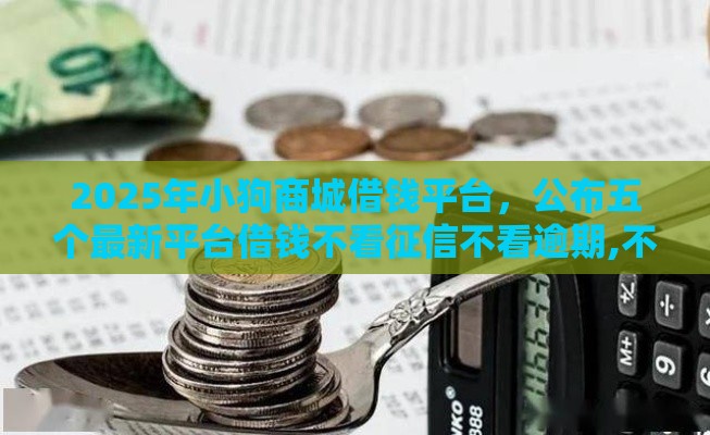 2025年小狗商城借钱平台，公布五个最新平台借钱不看征信不看逾期,不看欠款