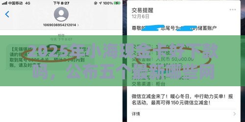 2025年小海现金卡好下款吗，公布五个最新哪些网贷平台容易贷款