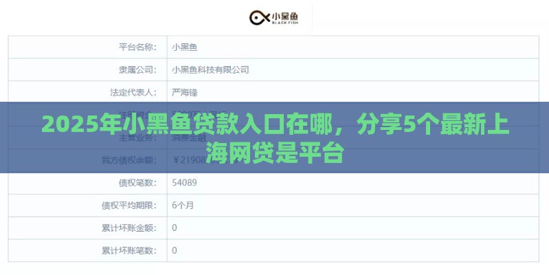 2025年小黑鱼贷款入口在哪，分享5个最新上海网贷是平台