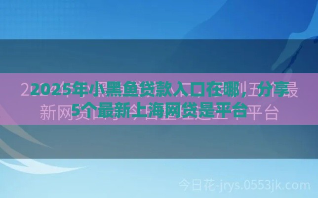 2025年小黑鱼贷款入口在哪，分享5个最新上海网贷是平台