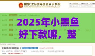 2025年小黑鱼好下款嘛，整理5个最新2025不查征信大数据百分百下款的平台