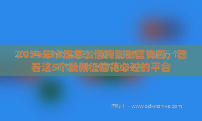 2025年小黑怎么借钱到微信钱包，看看这5个最新征信花必过的平台