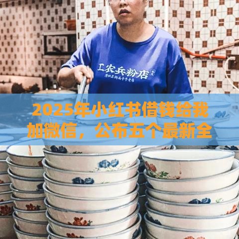 2025年小红书借钱给我加微信，公布五个最新全网最全的黒口子平台